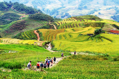 T11 Hanoi – Sapa - Perfume pagoda – Ninh Binh – Halong – Hanoi (9 DAY 8 NIGHT) 