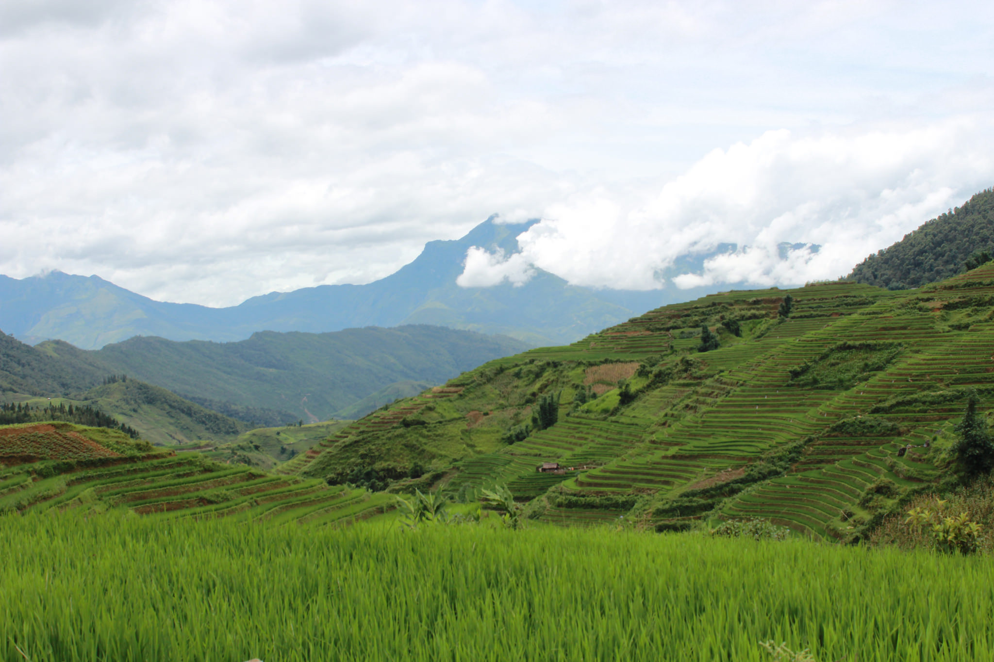 HOTDEAL: 3 NIGHTS – 2 DAYS SAPA HILL TRIBES TREK AND 1 NIGHT AT HOTEL (3 DAYS - 4 NIGHTS)