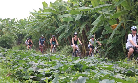 HANOI BICYCLE TOUR (5 HOURS)